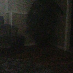 Meet your Posher, Ricole